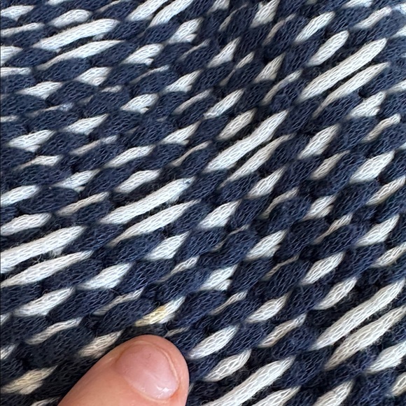 Moth - Picture 5 of 8